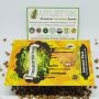Cream of the Crop Cannabis Strain Narcotherapy Auto Feminized Marijuana Seeds Original Collector Souvenir Authentic Packaging Pa