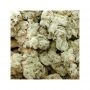 Zen C.B.D. Feminized by CBD Seeds THC Content Potency Strength CBD Height Yield Flowering Time Indica Sativa Genetics