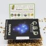 CBD Seeds Cannabis Strain Amnesia C.B.D. Auto Feminized Marijuana Seeds Original Collector Souvenir Authentic Packaging Packs