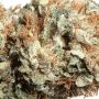 Cali Wreck Feminized by BSB Genetics THC Content Potency Strength CBD Height Yield Flowering Time Indica Sativa Genetics