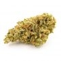 Bomb Seeds Bubble Bomb Smoke Buds Weed Ganja Skunk Dope Pot Images Pics Nuggets