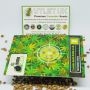 Bomb Seeds Cannabis Strain Berry Bomb Auto Feminized Marijuana Seeds Original Collector Souvenir Authentic Packaging Packs