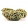 Big Head Seeds Gnasha Smoke Buds Weed Ganja Skunk Dope Pot Images Pics Nuggets