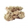 Big Head Seeds Alien Gorilla Smoke Buds Weed Ganja Skunk Dope Pot Images Pics Nuggets