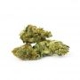 Big Buddha Seeds Strawnana Sundae Smoke Buds Weed Ganja Skunk Dope Pot Images Pics Nuggets
