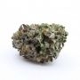 Big Buddha Seeds Buddha Kush OG Smoke Buds Weed Ganja Skunk Dope Pot Images Pics Nuggets