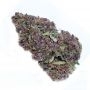 BC Bud Depot Purple Buddha Smoke Buds Weed Ganja Skunk Dope Pot Images Pics Nuggets