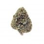 Barneys Farm Glookies Smoke Buds Weed Ganja Skunk Dope Pot Images Pics Nuggets