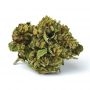 Auto Seeds Dreamberry Auto Smoke Buds Weed Ganja Skunk Dope Pot Images Pics Nuggets