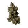 Anesia Seeds Fat Monkey Auto Smoke Buds Weed Ganja Skunk Dope Pot Images Pics Nuggets