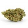 Anesia Seeds Big Bazooka Auto Smoke Buds Weed Ganja Skunk Dope Pot Images Pics Nuggets