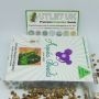 Anesia Seeds Cannabis Strain Amnesia Flash Auto Feminized Marijuana Seeds Original Collector Souvenir Authentic Packaging Packs