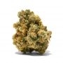 Advanced Seeds Purple Diesel Auto Smoke Buds Weed Ganja Skunk Dope Pot Images Pics Nuggets
