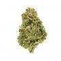 Advanced Seeds Amnesia Auto Smoke Buds Weed Ganja Skunk Dope Pot Images Pics Nuggets