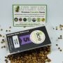 Ace Seeds Cannabis Strain Tikal Regular Marijuana Seeds Original Collector Souvenir Authentic Packaging Packs
