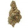 710 Genetics Seeds White Candy Smoke Buds Weed Ganja Skunk Dope Pot Images Pics Nuggets