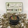 Cannabis Seeds Outlet Weed Strain Double Big Blueberry Marijuana Seeds Original Collector Souvenir Authentic Packaging Packs
