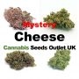 Cannabis Seeds Outlet Weed Strain Mystery Cheese Feminized Marijuana Seeds Original Collector Souvenir Authentic Packaging Packs
