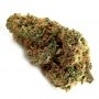 Ace Seeds Honduras Smoke Buds Weed Ganja Skunk Dope Pot Images Pics Nuggets