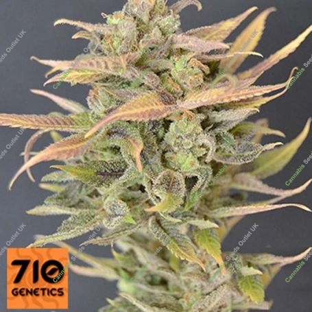 High Priority Feminized Marijuana Strain by 710 Genetics Seeds For Sale Online at Cannabis Seeds Outlet