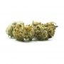 Cannabis Seeds Outlet Gelato Jack Smoke Buds Weed Ganja Skunk Dope Pot Images Pics Nuggets