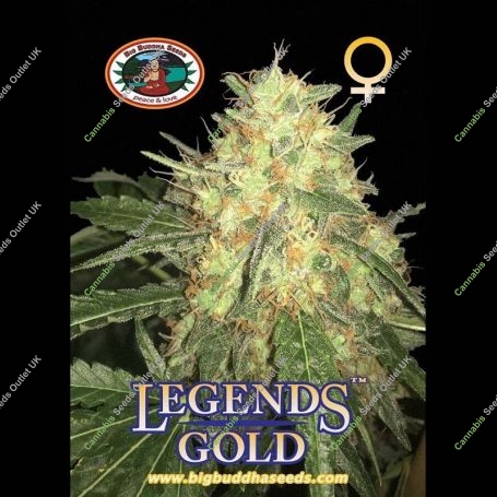 Legends Gold Feminized Marijuana Strain by Big Buddha Seeds For Sale Online at Cannabis Seeds Outlet