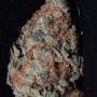 Cookie Dawg Feminized Marijuana Strain by Big Head Seeds For Sale Online at Cannabis Seeds Outlet