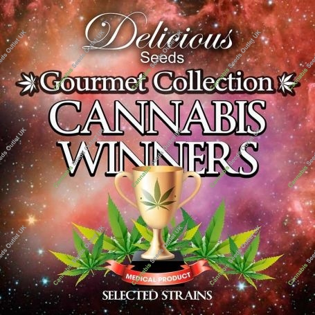 Cannabis Winners Marijuana Strain by Delicious Seeds For Sale Online at Cannabis Seeds Outlet