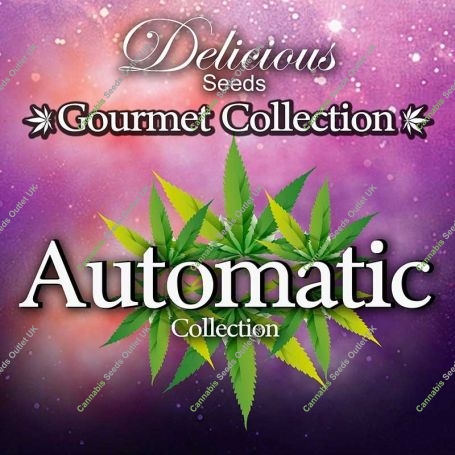 Gourmet Auto Mix Marijuana Strain by Delicious Seeds For Sale Online at Cannabis Seeds Outlet