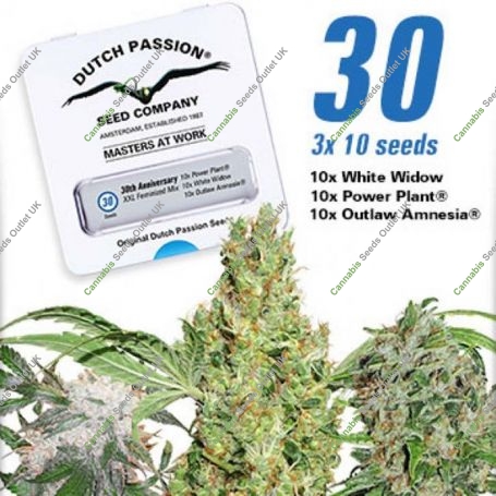 30th Anniversary Mix Feminized Marijuana Strain by Dutch Passion For Sale Online at Cannabis Seeds Outlet