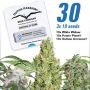 30th Anniversary Mix Feminized Marijuana Strain by Dutch Passion For Sale Online at Cannabis Seeds Outlet