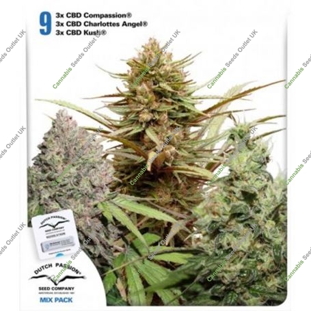 CBD Rich Feminized Marijuana Strain by Dutch Passion For Sale Online at Cannabis Seeds Outlet