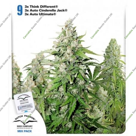 High Potency Auto Mix Feminized Marijuana Strain by Dutch Passion For Sale Online at Cannabis Seeds Outlet
