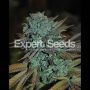 Gorilla Feminized Marijuana Strain by Expert Seeds For Sale Online at Cannabis Seeds Outlet