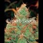 Gorilla Lilly Feminized Marijuana Strain by Expert Seeds For Sale Online at Cannabis Seeds Outlet