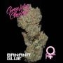 Banana Glue Feminized Marijuana Strain by Growers Choice For Sale Online at Cannabis Seeds Outlet