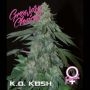 KO Kush Feminized Marijuana Strain by Growers Choice For Sale Online at Cannabis Seeds Outlet
