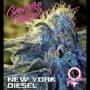 New York Diesel Feminized Marijuana Strain by Growers Choice For Sale Online at Cannabis Seeds Outlet
