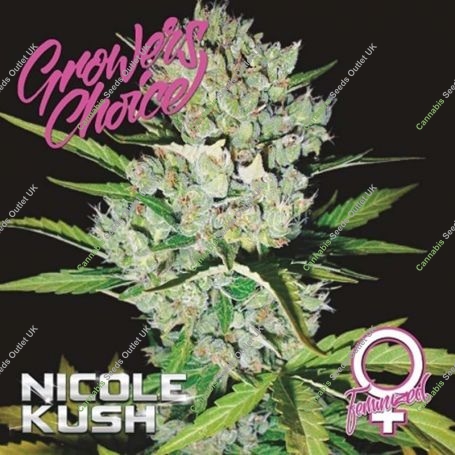 Nicole Kush Feminized Marijuana Strain by Growers Choice For Sale Online at Cannabis Seeds Outlet