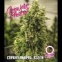 Original G13 Auto Feminized Marijuana Strain by Growers Choice For Sale Online at Cannabis Seeds Outlet