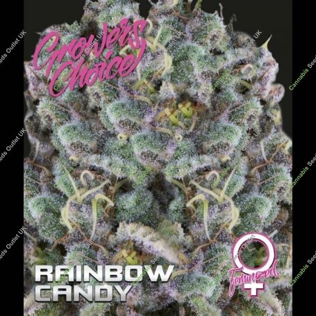 Rainbow Candy Feminized Marijuana Strain by Growers Choice For Sale Online at Cannabis Seeds Outlet