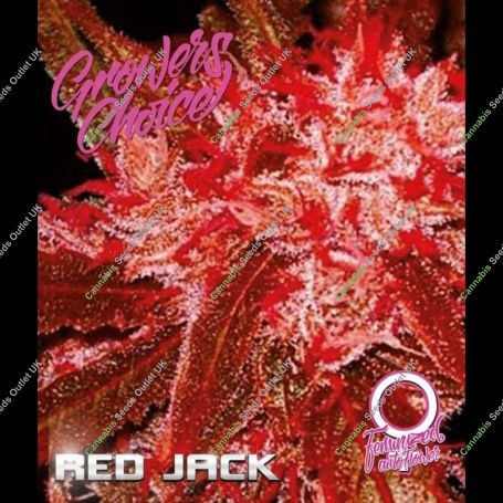 Red Jack Auto Feminized Marijuana Strain by Growers Choice For Sale Online at Cannabis Seeds Outlet