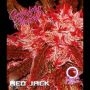 Red Jack Auto Feminized Marijuana Strain by Growers Choice For Sale Online at Cannabis Seeds Outlet