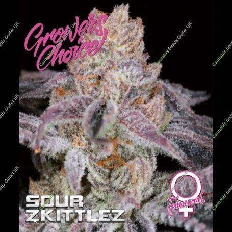 Sour Zkittlez Feminized Marijuana Strain by Growers Choice For Sale Online at Cannabis Seeds Outlet