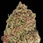 Dream Machine Feminized Marijuana Strain by Heavyweight Seeds For Sale Online at Cannabis Seeds Outlet