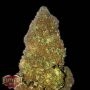 Jackpot Auto Feminized Marijuana Strain by Heavyweight Seeds For Sale Online at Cannabis Seeds Outlet