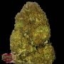 Skunky Monkey Auto Feminized Marijuana Strain by Heavyweight Seeds For Sale Online at Cannabis Seeds Outlet