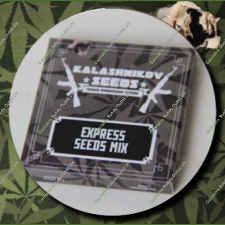 Express Mix Pack Feminized Marijuana Strain by Kalashnikov Seeds For Sale Online at Cannabis Seeds Outlet