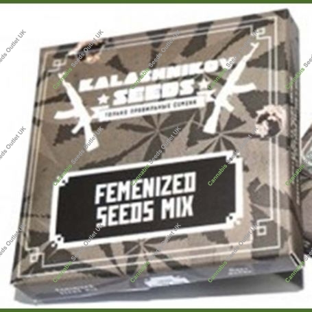 Fem Mix Pack Marijuana Strain by Kalashnikov Seeds For Sale Online at Cannabis Seeds Outlet