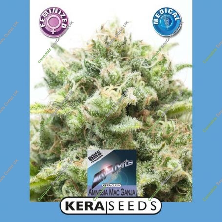 Medical AMG Feminized Marijuana Strain by Kera Seeds For Sale Online at Cannabis Seeds Outlet